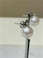 Pendientes Rajola Mujer in Perlas Perla 33-E12-1 - 33-E12-1